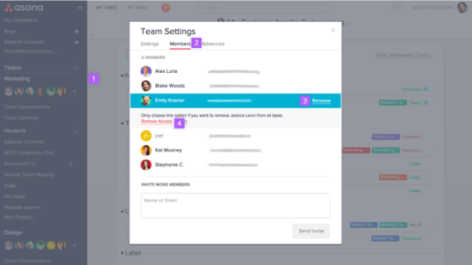 Team settings in Asana