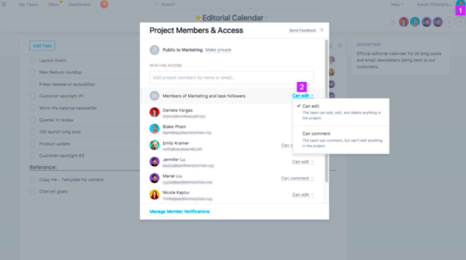 Comment-only access in Asana