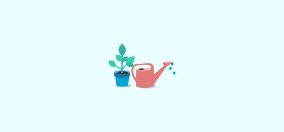 Wellness spending account