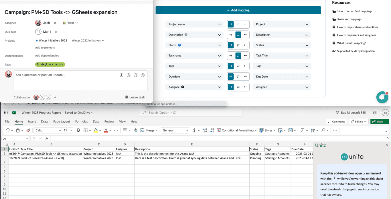 Synced Asana Excel Demo