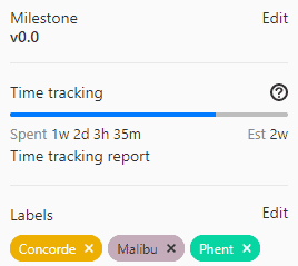 A screenshot of a time tracking in GitLab.