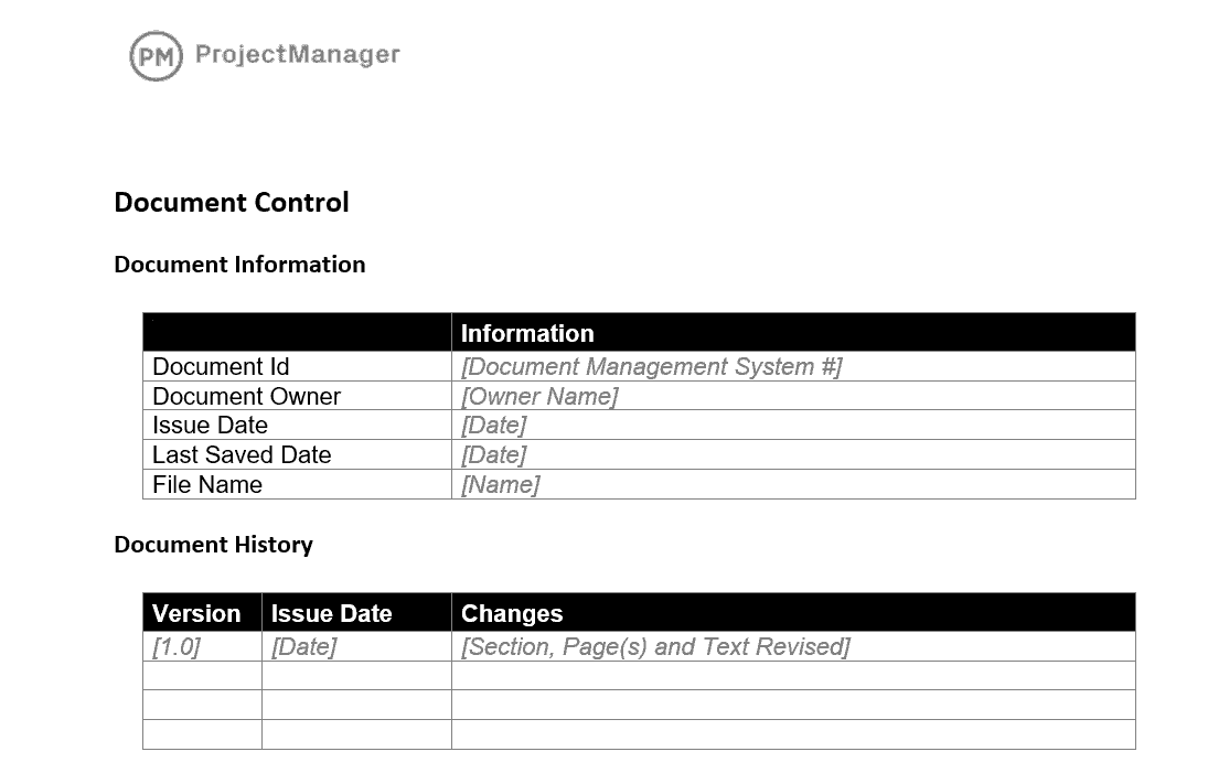 A screenshot of a project management template from ProjectManager.