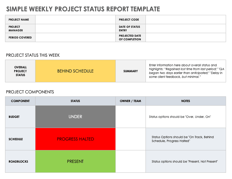 A screenshot of a project status report.